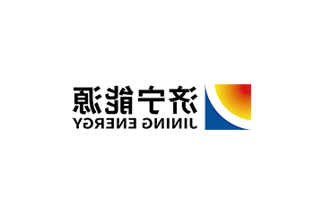 党建赋能“五位一体” ！鑫能热电激活项目建设新势能