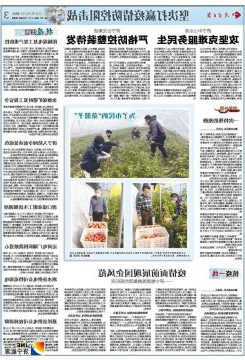 济宁日报：阳城煤电复工复产重防控