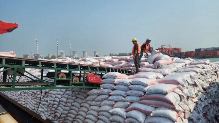 填补市场空白，济宁首船豆粕抵达江北物流园