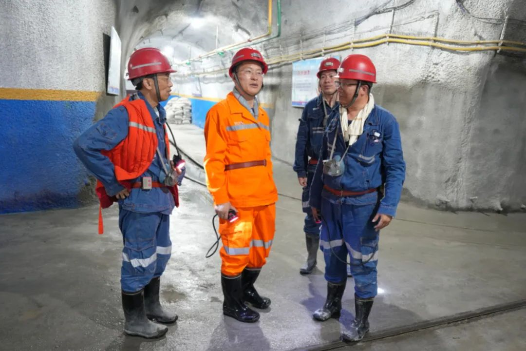 1712838109276737.jpg 001.jpg