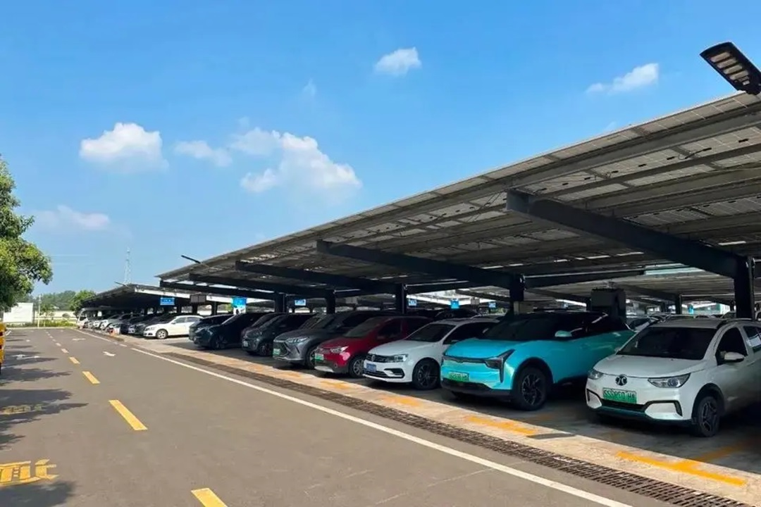 1732004188642636.jpg 0006.jpg