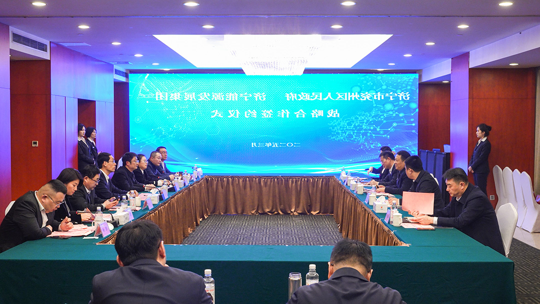 1741247693130739.jpg 0008.jpg